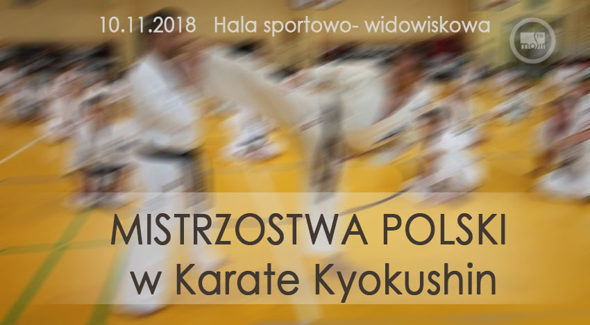 karate_kyokushin.jpg