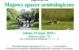 Majowy spacer ornitologiczny