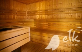 sauna-750x400.jpg