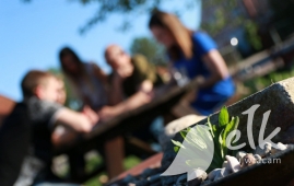 Obszerna fotorelacja z II zjazdu uczestników Modelowej Szkoły Animatorów i Pedagogów Społecznych