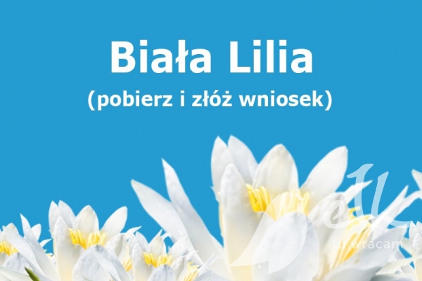 biała lilia.jpg