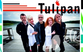 Концерт червоний Tulip