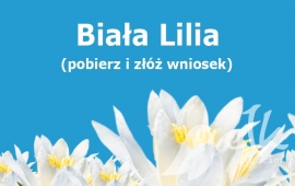 Enklą balta lelija už pasiekimus 2017 metais