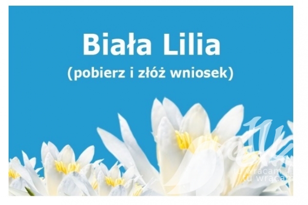 biała lilia.jpg