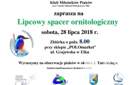 Spacer ornitologiczny